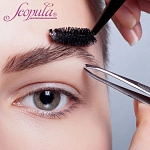 Бровист: онлайн-курс с выдачей свидетельства. Теория и практика (фото)